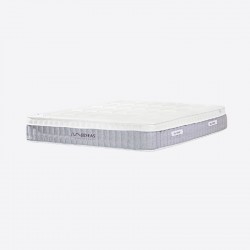Cell Memory Cell Memory